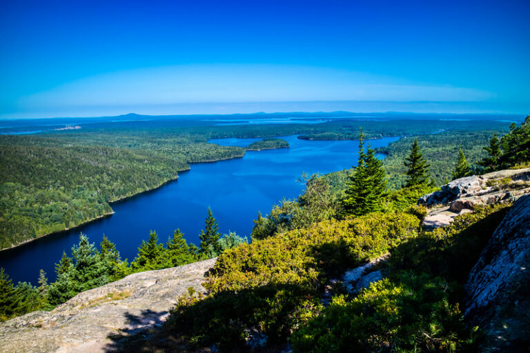 view from Beech Cliff loop